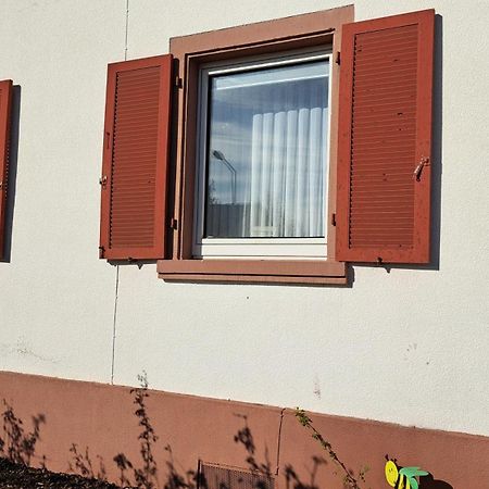 Schoene Wohnung In Worms Private Gastgeber Esterno foto